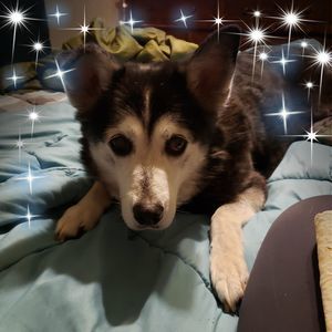 Meet your Posher, Marcy